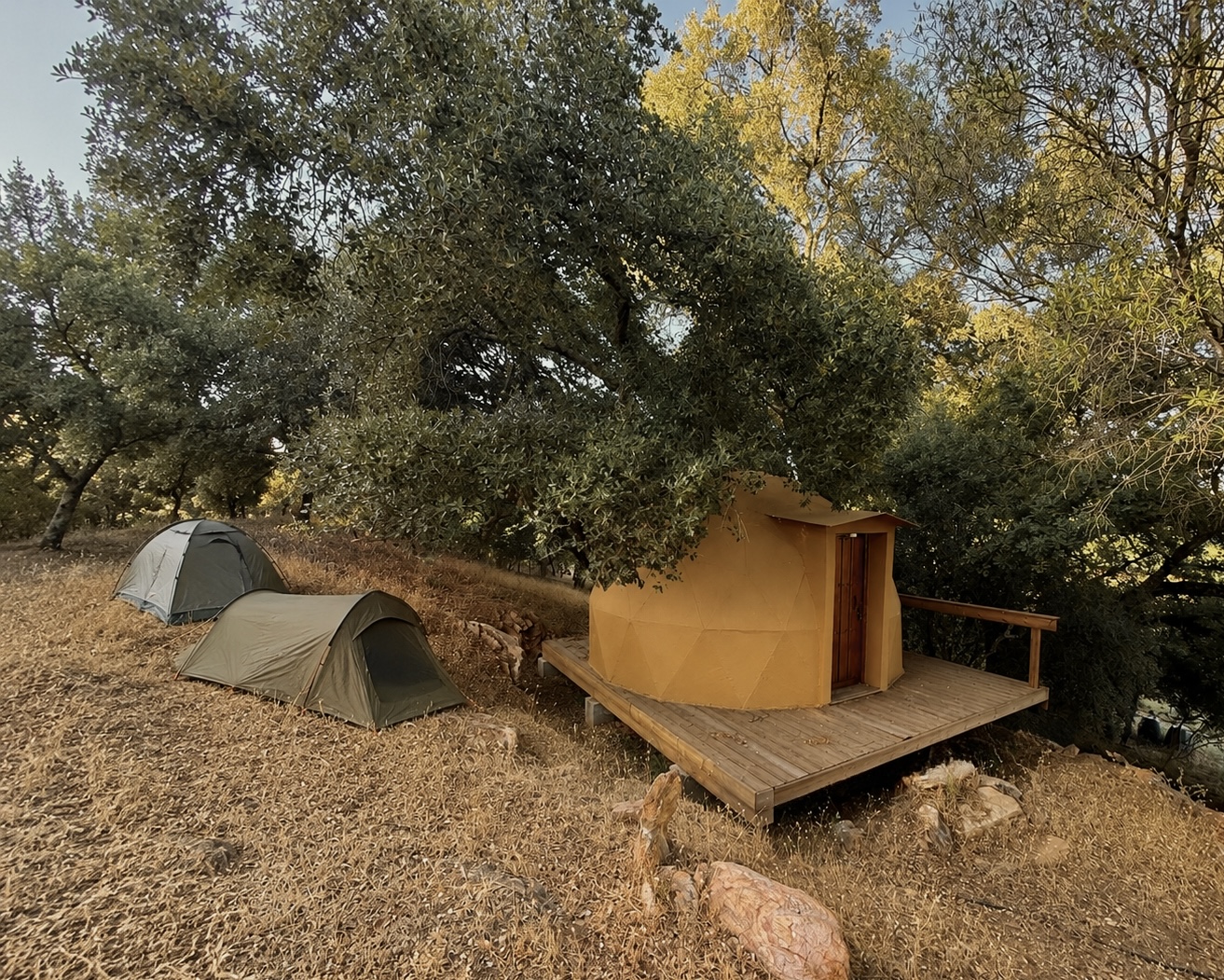 Camping tent area